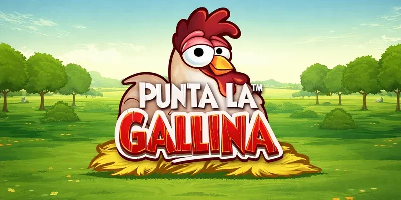 Punta la gallina