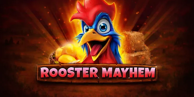 Rooster mayhem